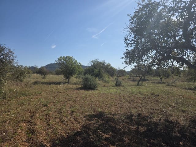 Grunde uden byggetilladelser til salg i Manacor - € 450.000 (Ref: 9921118)