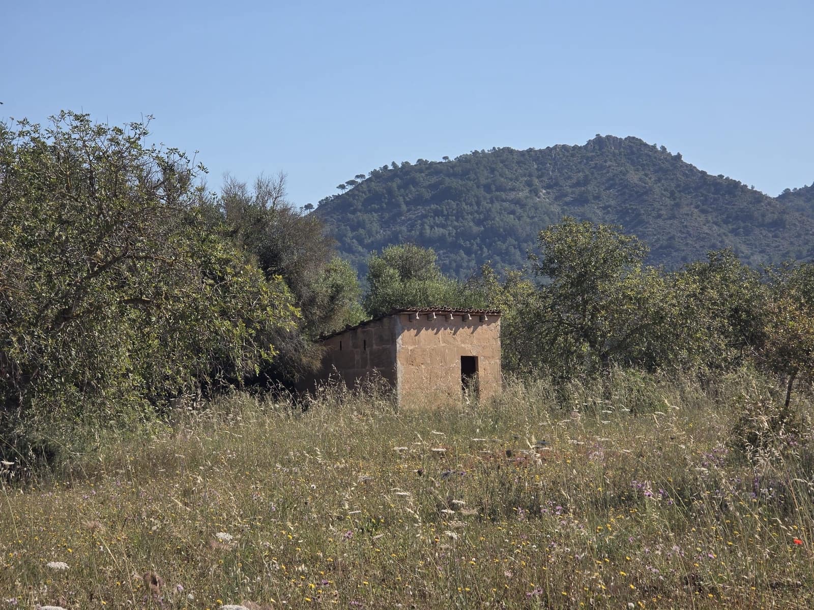 Grunde uden byggetilladelser til salg i Manacor - € 450.000 (Ref: 9921118)