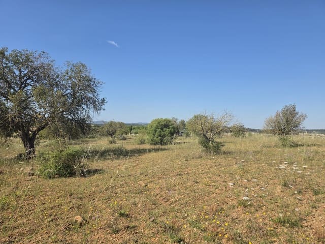 Grunde uden byggetilladelser til salg i Manacor - € 450.000 (Ref: 9921118)