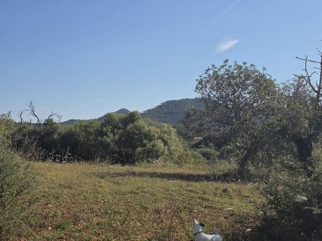 Grunde uden byggetilladelser til salg i Manacor - € 450.000 (Ref: 9921118)