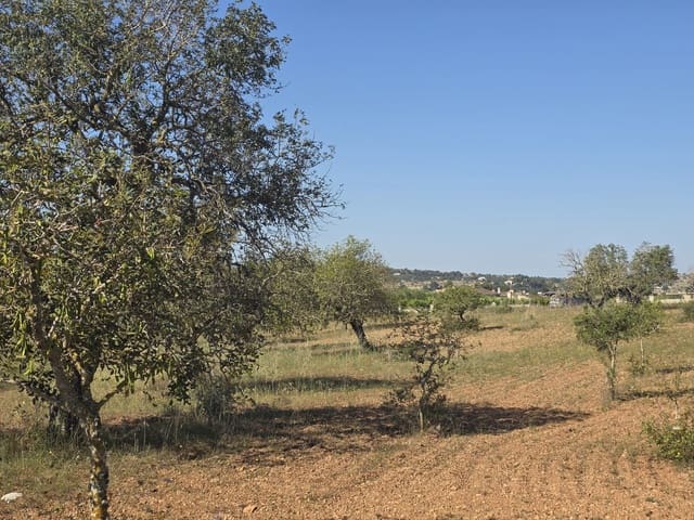 Grunde uden byggetilladelser til salg i Manacor - € 450.000 (Ref: 9921118)