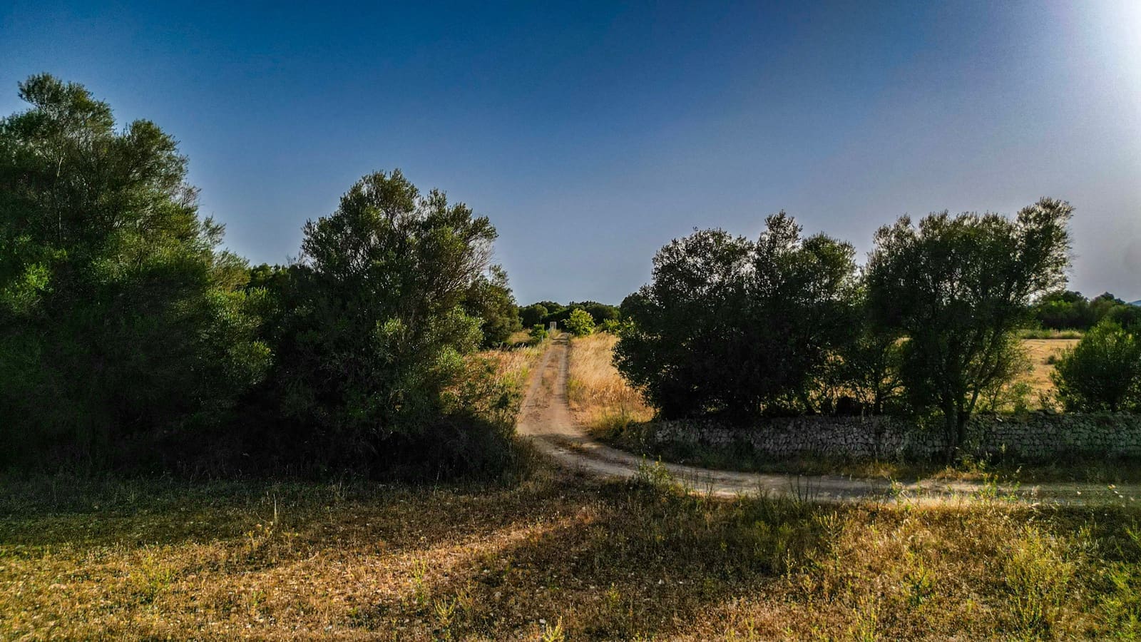 Grunde uden byggetilladelser til salg i Felanitx - € 300.000 (Ref: 9923025)