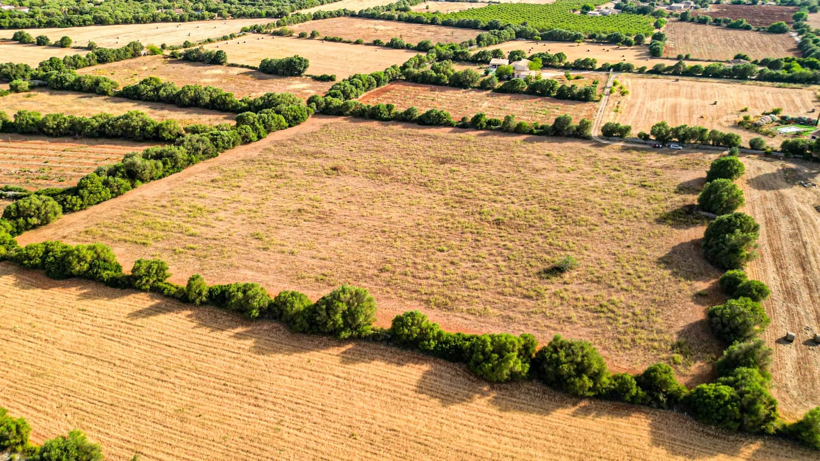 Grunde uden byggetilladelser til salg i Felanitx - € 300.000 (Ref: 9923025)