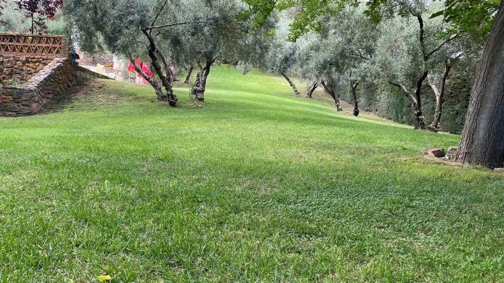 3 soverom Restaurant/Bar til salgs i Rute med svømmebasseng garasje - € 1 100 000 (Ref: 6365370)