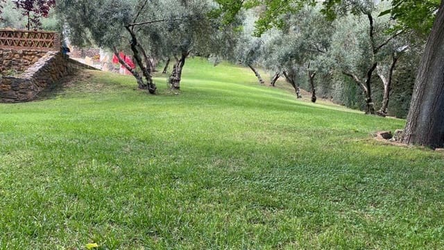 3 bedroom Restaurant/Bar for sale in Rute with pool garage - € 1,100,000 (Ref: 6365370)