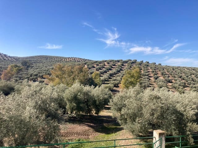 36 slaapkamer Finca/Landhuis te koop in Rute met garage - € 3.300.000 (Ref: 7464690)