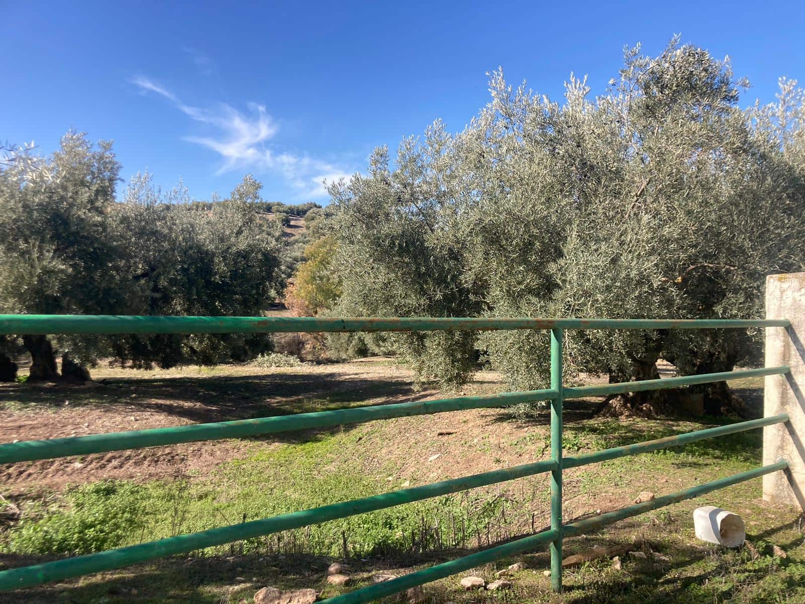 36 soveværelse Finca/Landehus til salg i Rute med garage - € 3.300.000 (Ref: 7464690)