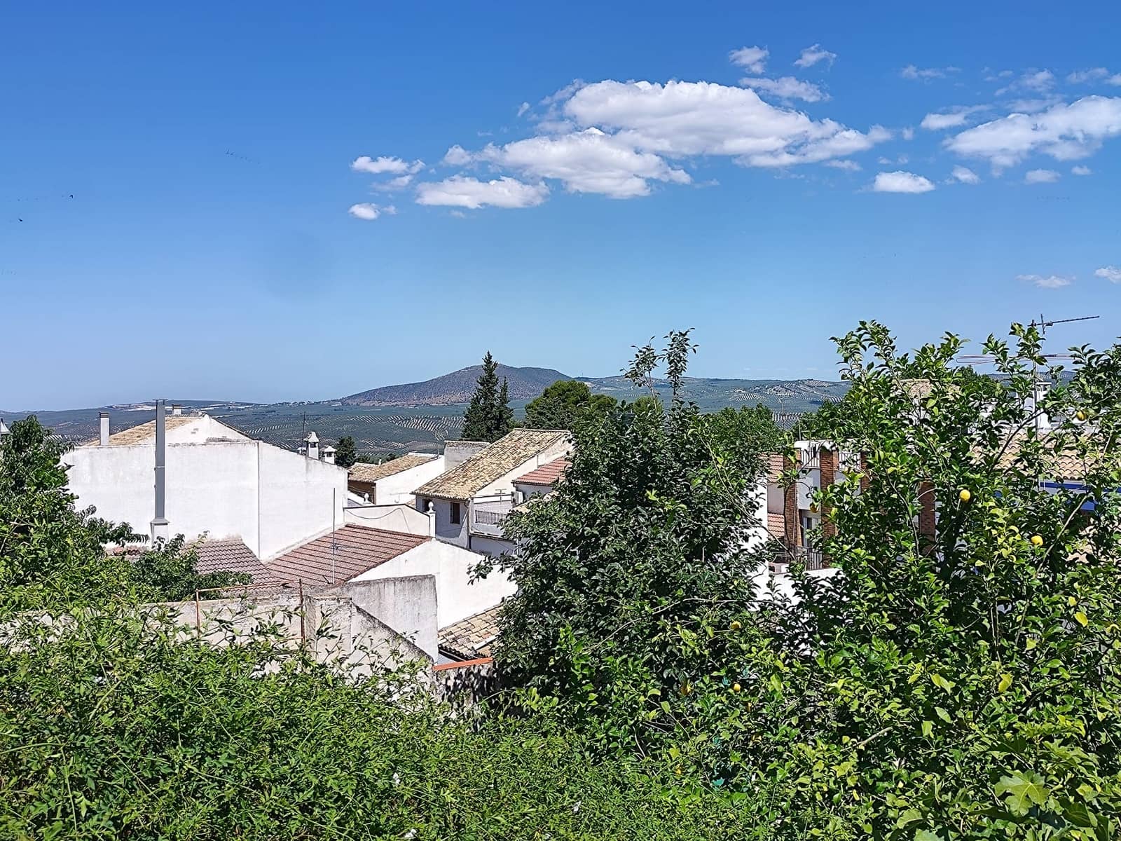 6 soveværelse Rækkehus til salg i Rute med garage - € 330.000 (Ref: 7744936)