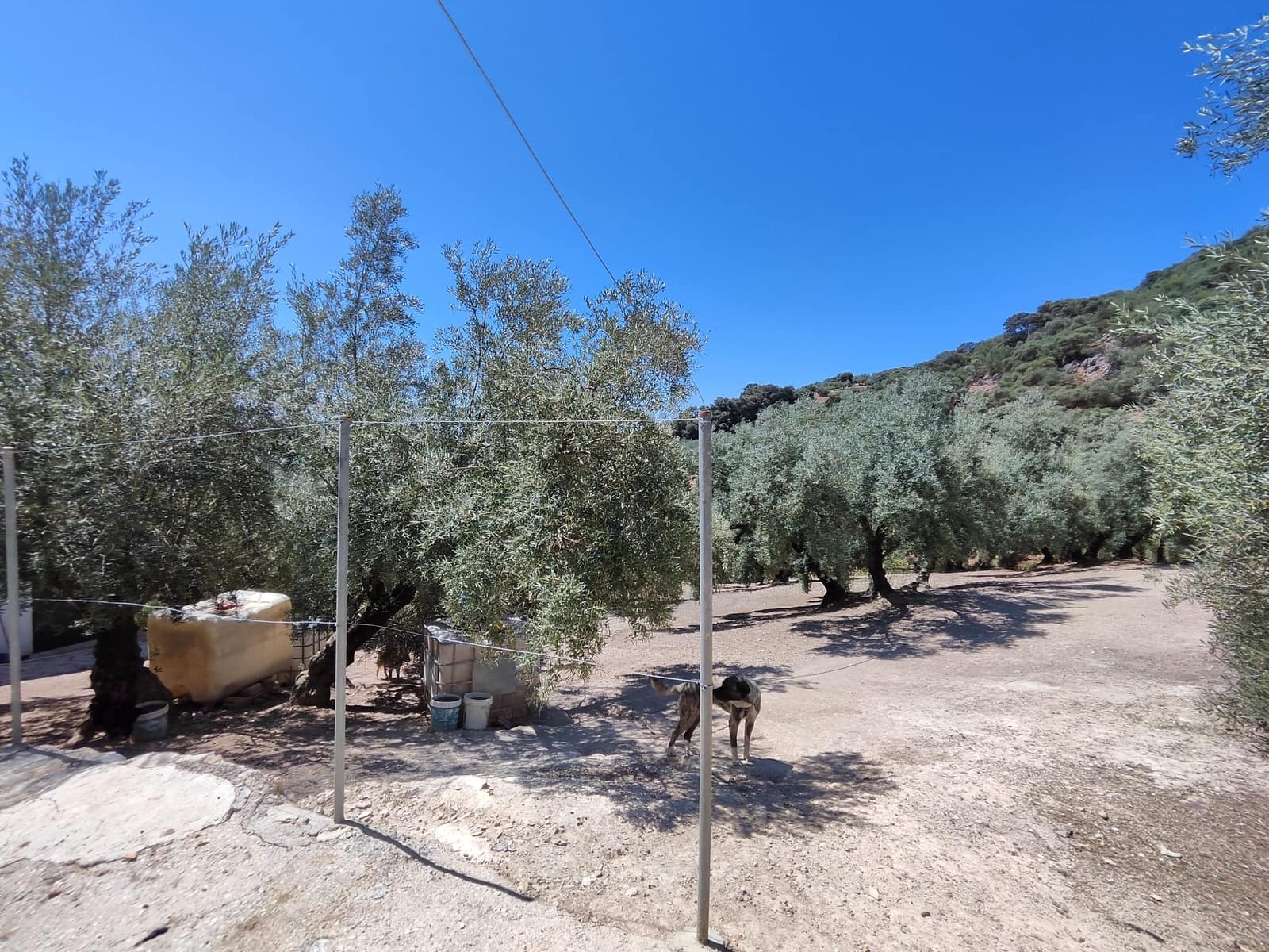 3 slaapkamer Finca/Landhuis te koop in Zambra met zwembad - € 220.000 (Ref: 7753984)