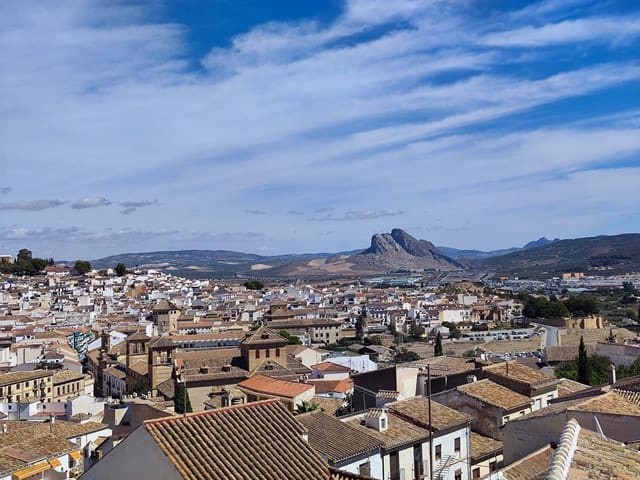 4 camera da letto Casa in vendita in Antequera - 1.200.000 € (Rif: 7841343)