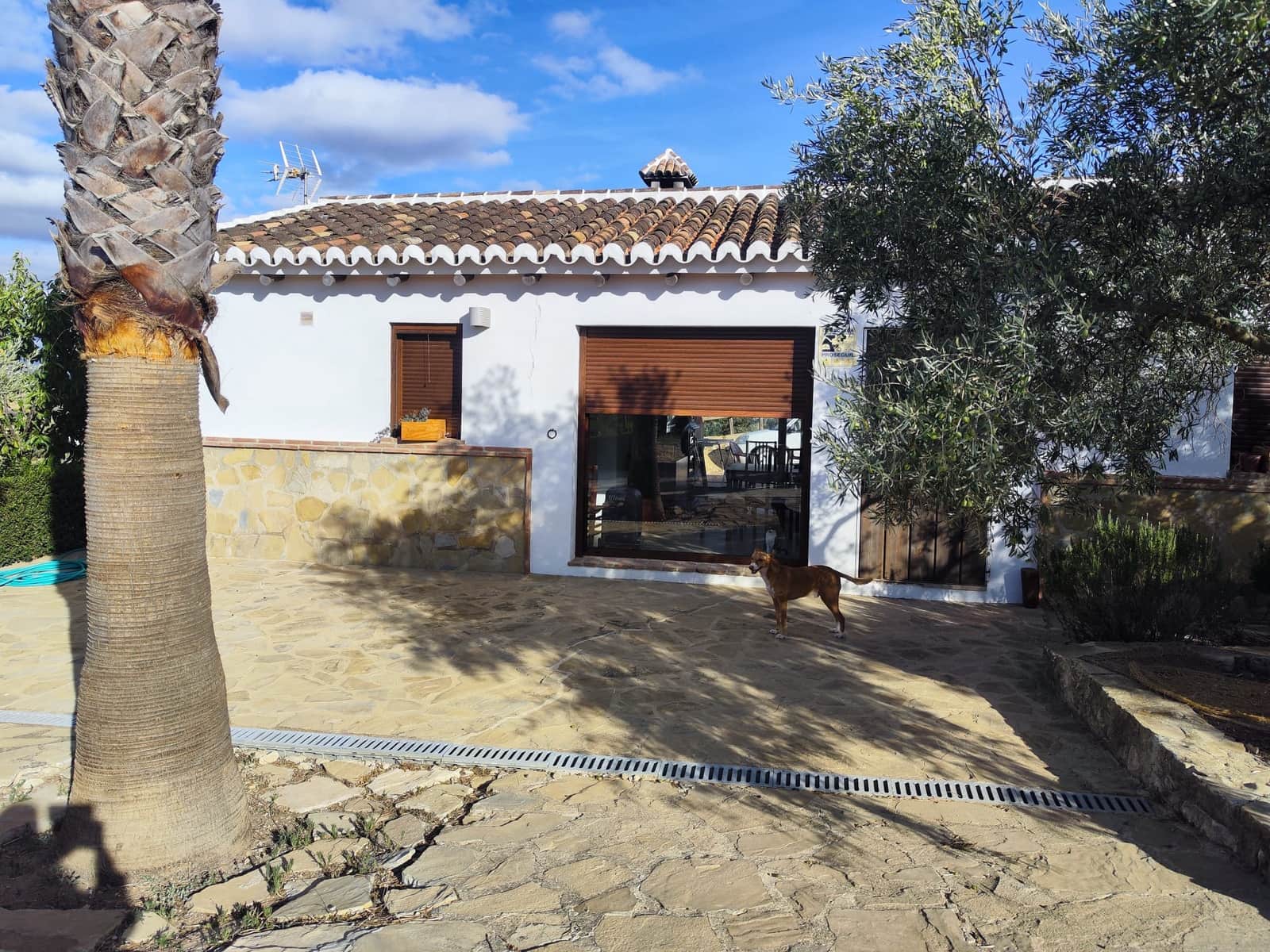 9 soveværelse Finca/Landehus til salg i Antequera med swimmingpool garage - € 2.300.000 (Ref: 7901413)