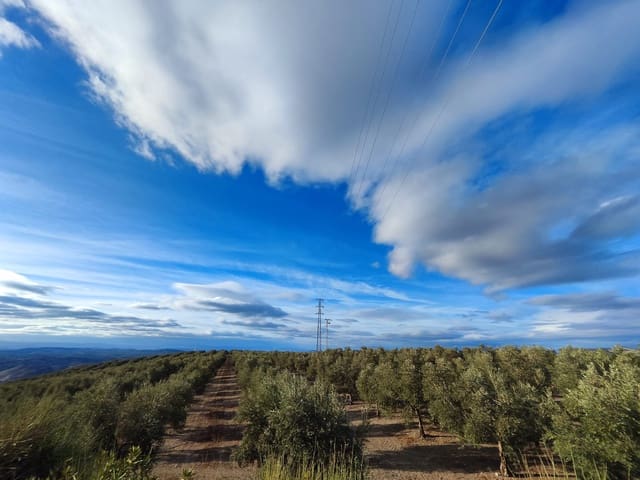 9 soveværelse Finca/Landehus til salg i Antequera med swimmingpool garage - € 2.300.000 (Ref: 7901413)