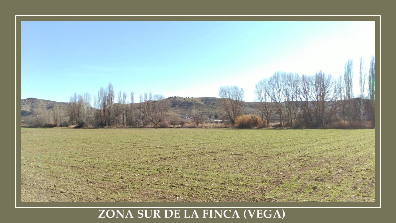 Finca/Landehus til salg i Guadahortuna - € 700.000 (Ref: 9019751)