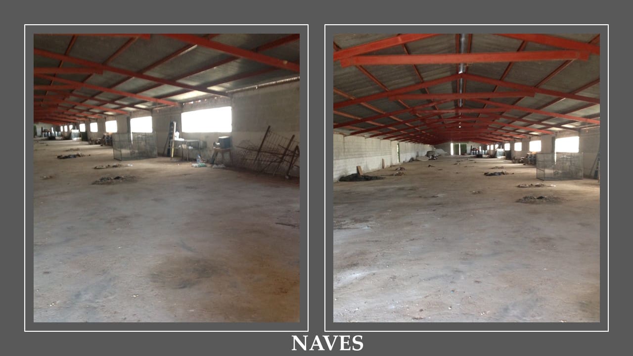 Finca/Landehus til salg i Guadahortuna - € 700.000 (Ref: 9019751)