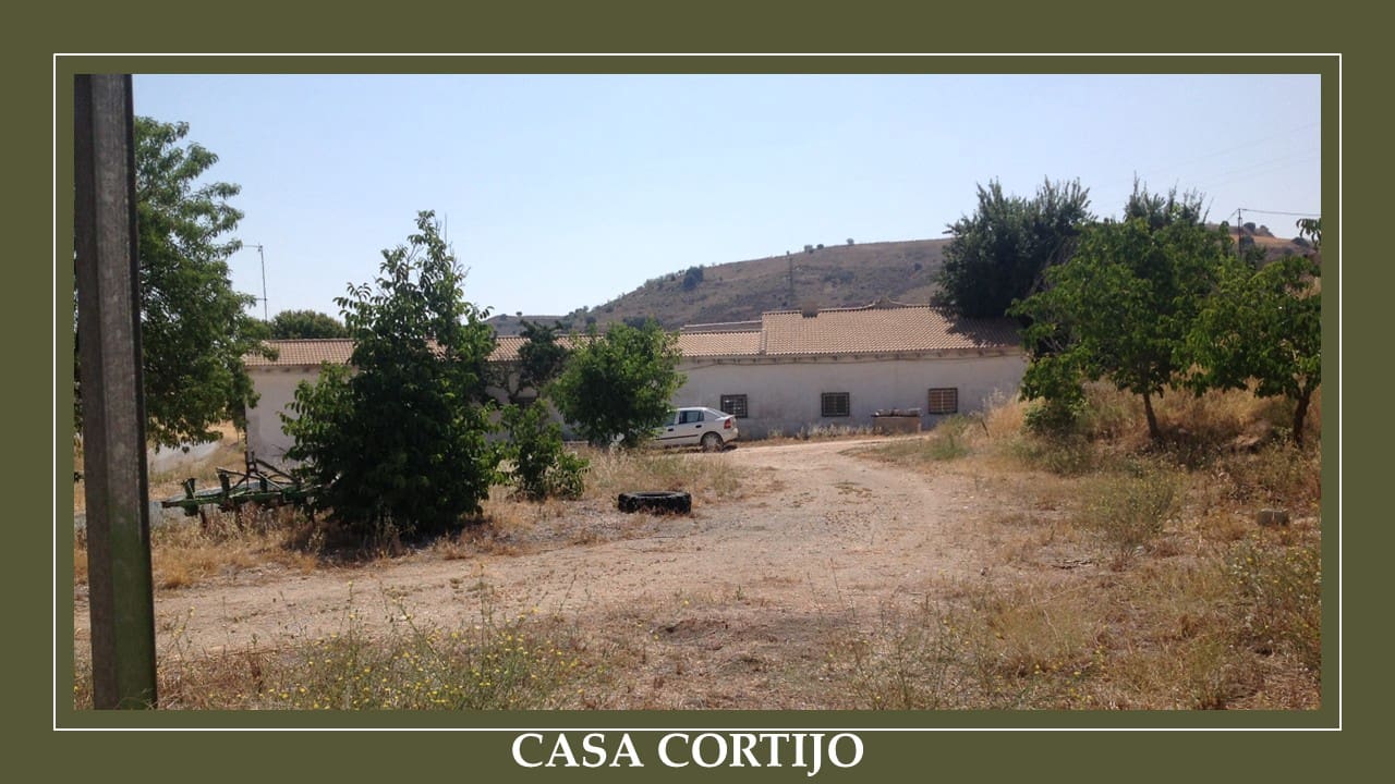 Finca/Landehus til salg i Guadahortuna - € 700.000 (Ref: 9019751)