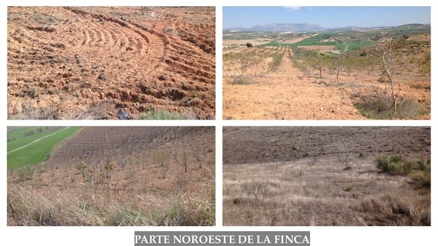 Finca/Landehus til salg i Guadahortuna - € 700.000 (Ref: 9019751)