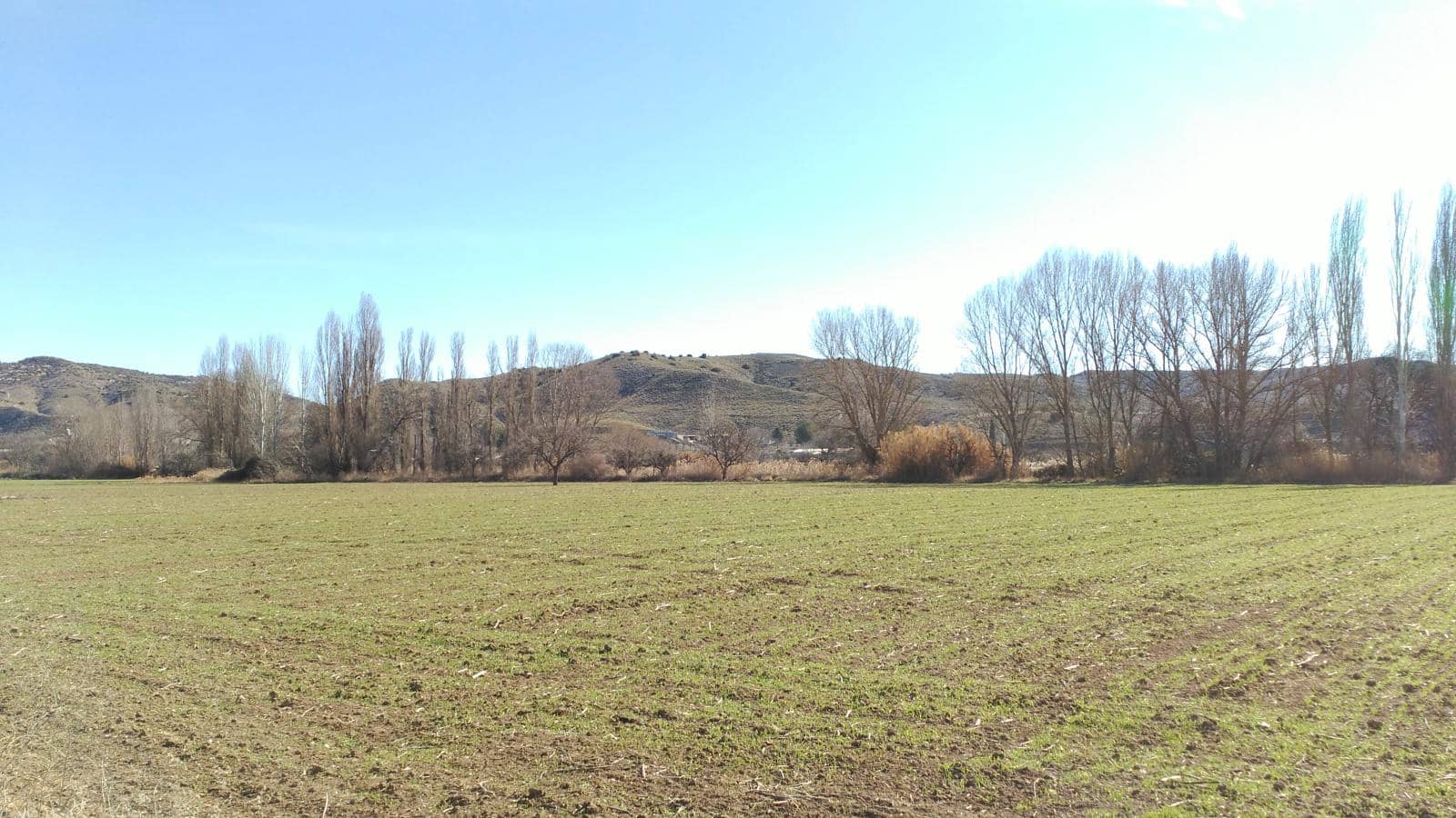 Finca/Landehus til salg i Guadahortuna - € 700.000 (Ref: 9019751)