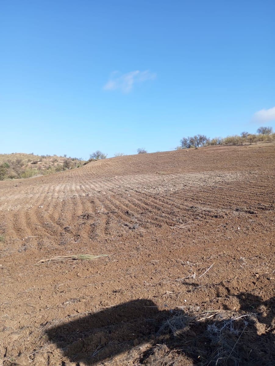 Finca/Herregård til salgs i Malaga by - € 1 800 000 (Ref: 9384980)