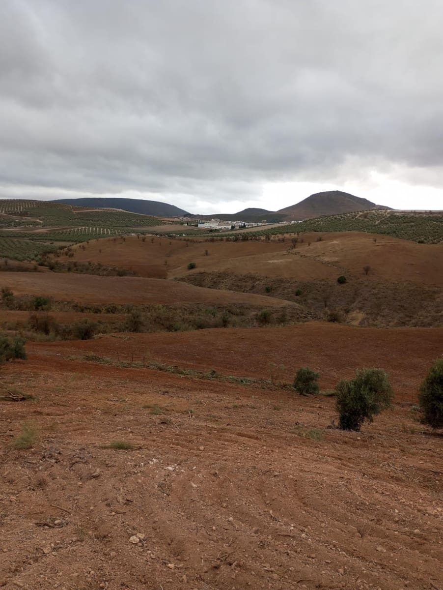 Finca/Herregård til salgs i Malaga by - € 1 800 000 (Ref: 9384980)