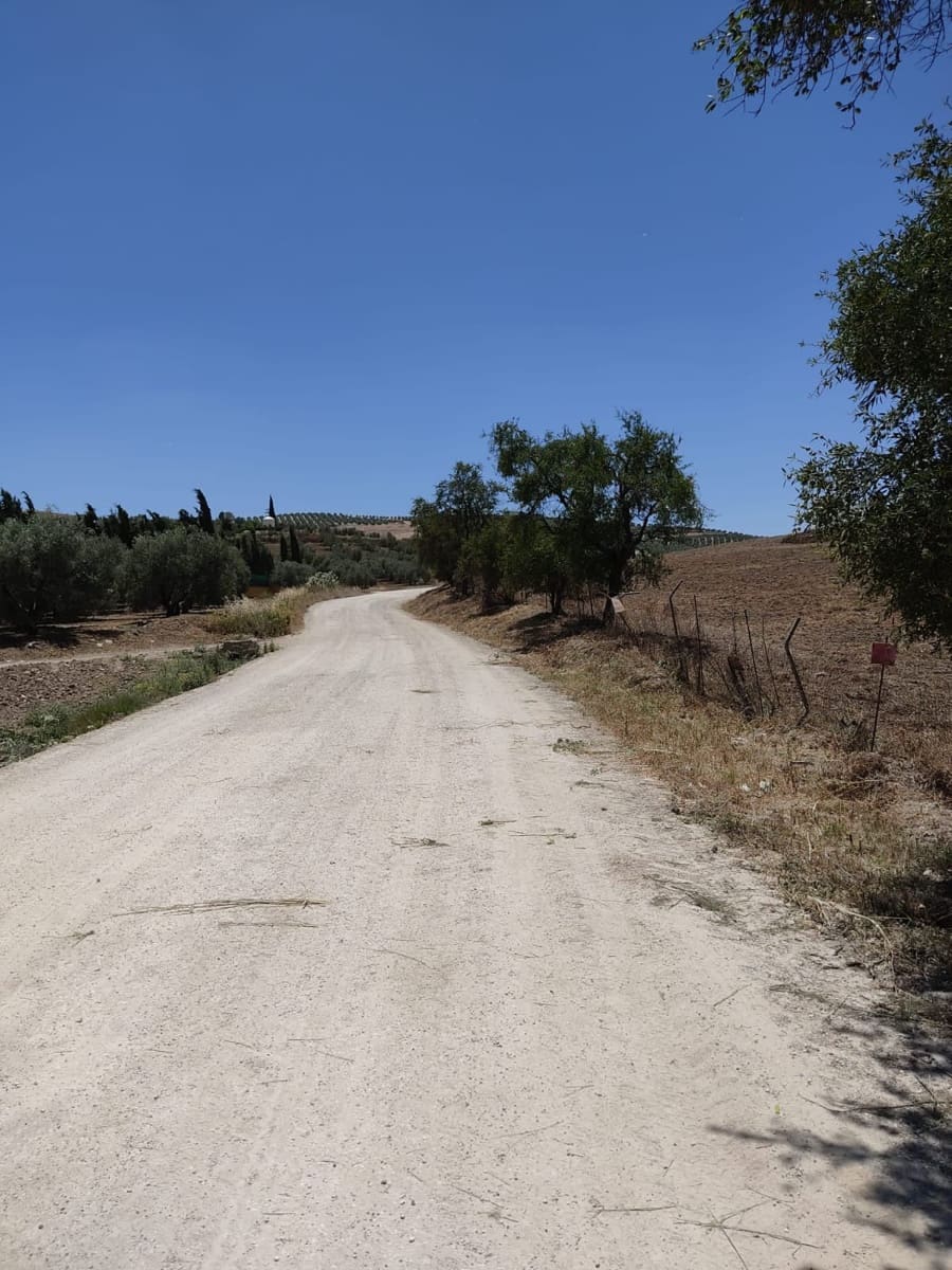 Finca/Herregård til salgs i Malaga by - € 1 800 000 (Ref: 9384980)