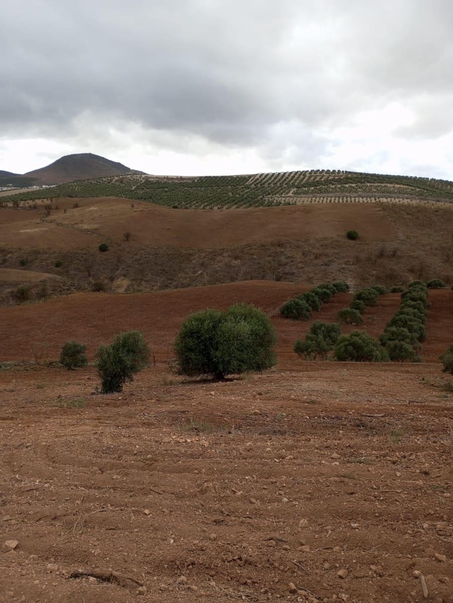 Finca/Herregård til salgs i Malaga by - € 1 800 000 (Ref: 9384980)