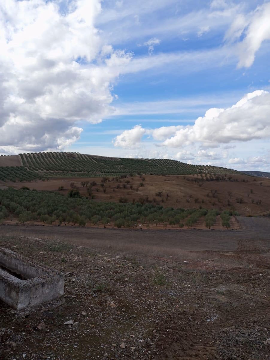 Finca/Herregård til salgs i Malaga by - € 1 800 000 (Ref: 9384980)