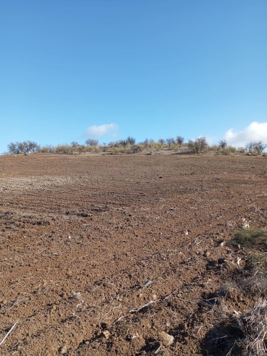 Finca/Herregård til salgs i Malaga by - € 1 800 000 (Ref: 9384980)