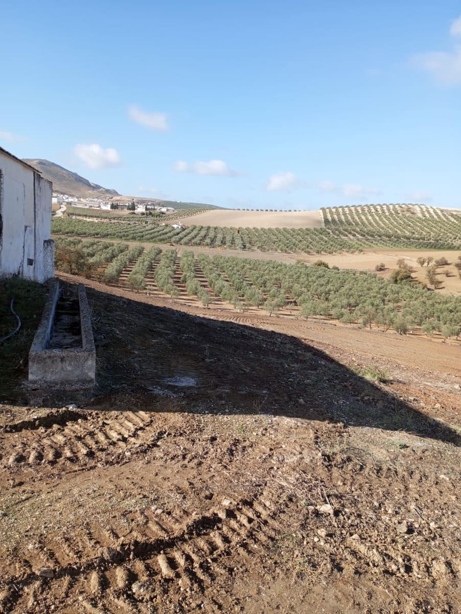 Finca/Herregård til salgs i Malaga by - € 1 800 000 (Ref: 9384980)