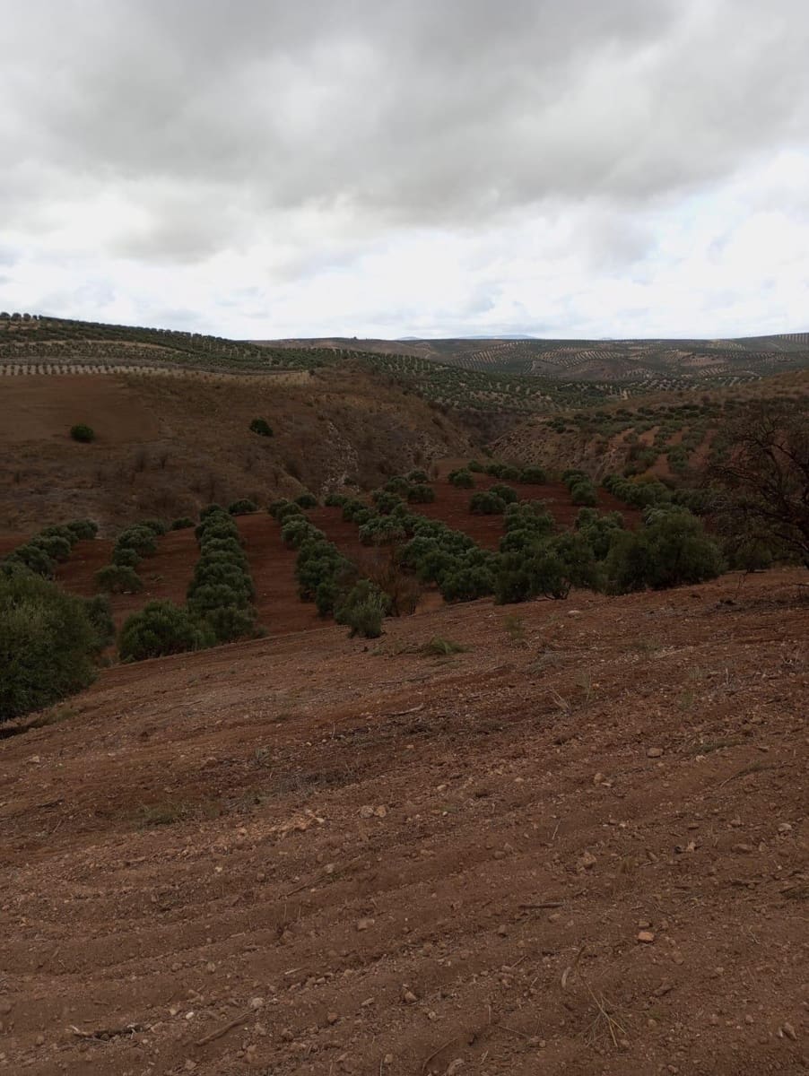 Finca/Herregård til salgs i Malaga by - € 1 800 000 (Ref: 9384980)