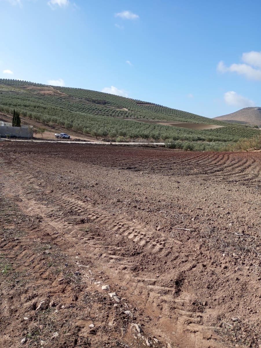 Finca/Herregård til salgs i Malaga by - € 1 800 000 (Ref: 9384980)