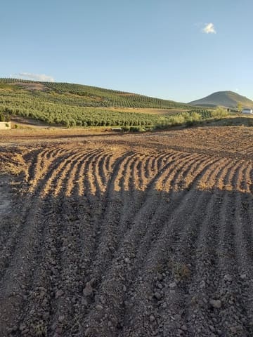 Finca/Herregård til salgs i Málaga by - € 1 800 000 (Ref: 9384980)