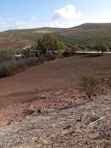 Finca/Herregård til salgs i Málaga by - € 1 800 000 (Ref: 9384980)