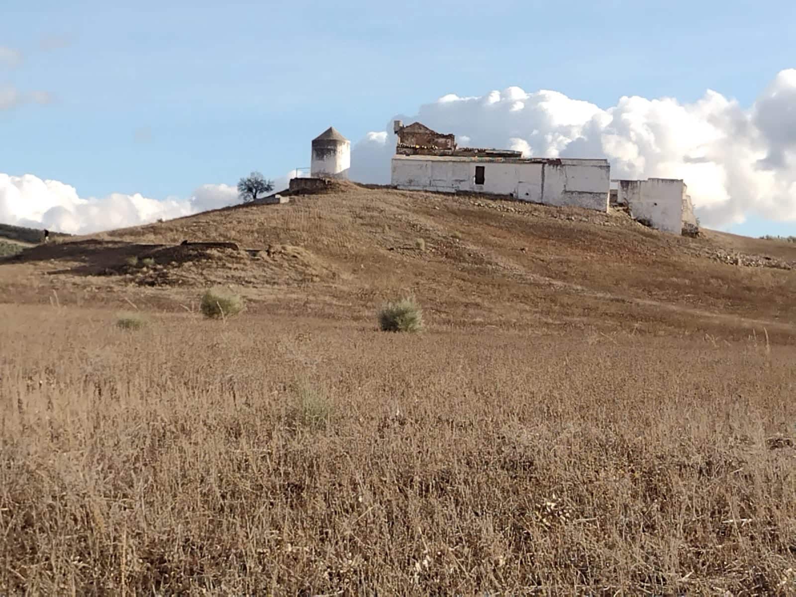 Finca/Herregård til salgs i Malaga by - € 1 800 000 (Ref: 9384980)