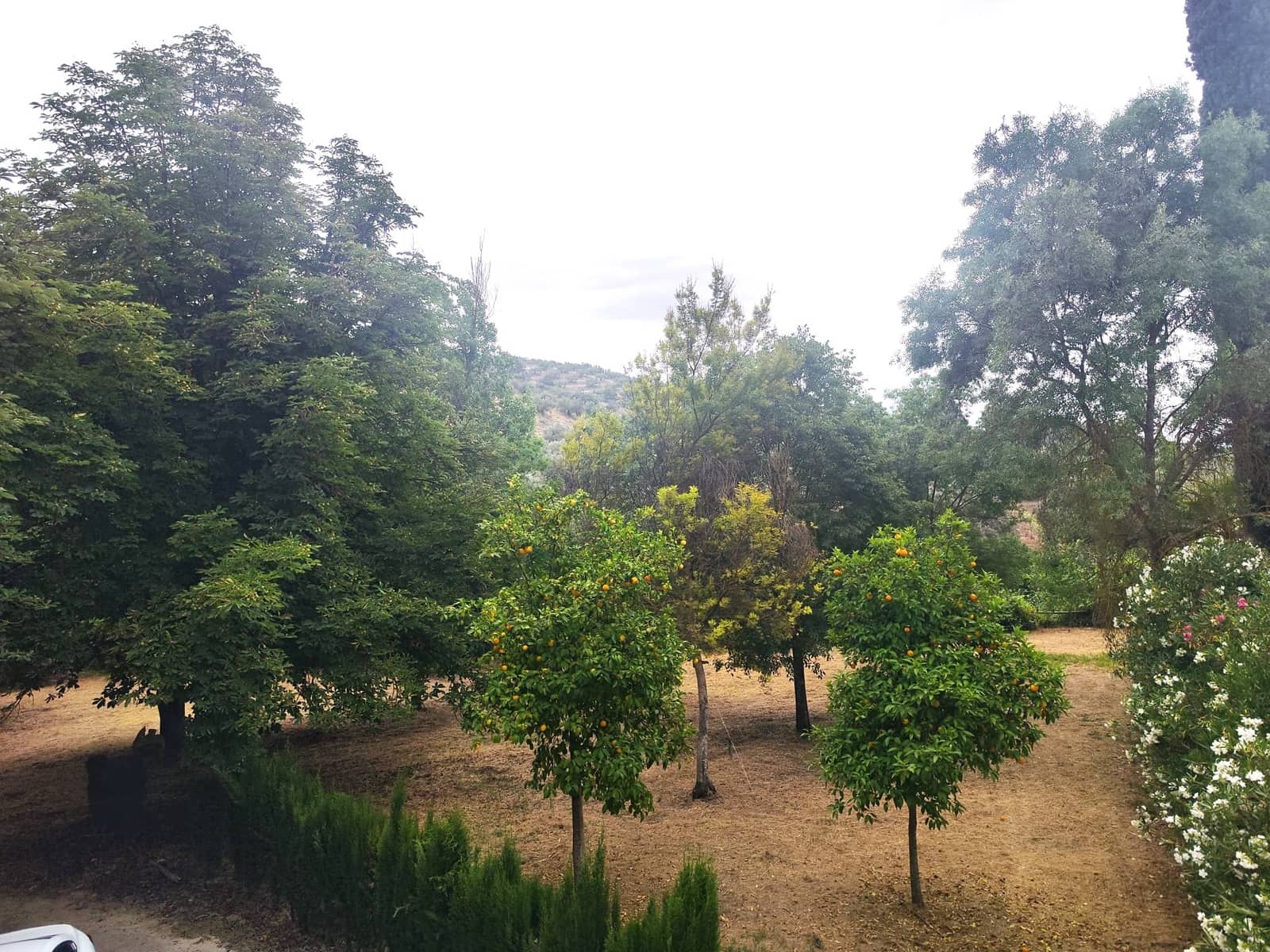 6 sovrum Finca/Hus på landet till salu i Zambra med pool garage - 995 000 € (Ref: 9516460)