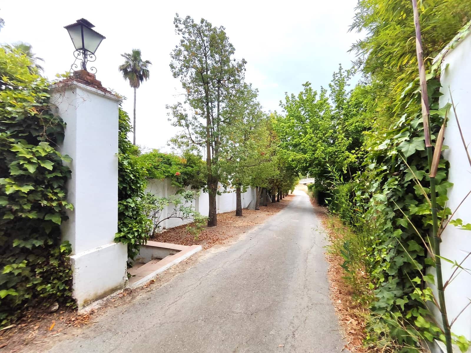 6 sovrum Finca/Hus på landet till salu i Zambra med pool garage - 995 000 € (Ref: 9516460)