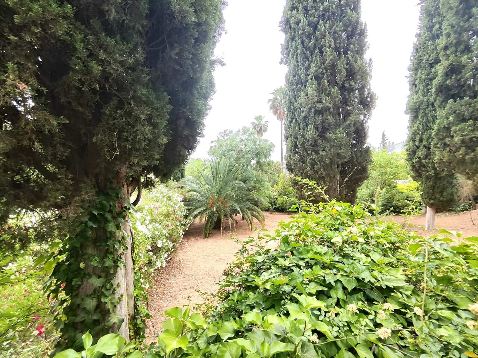 6 sovrum Finca/Hus på landet till salu i Zambra med pool garage - 995 000 € (Ref: 9516460)