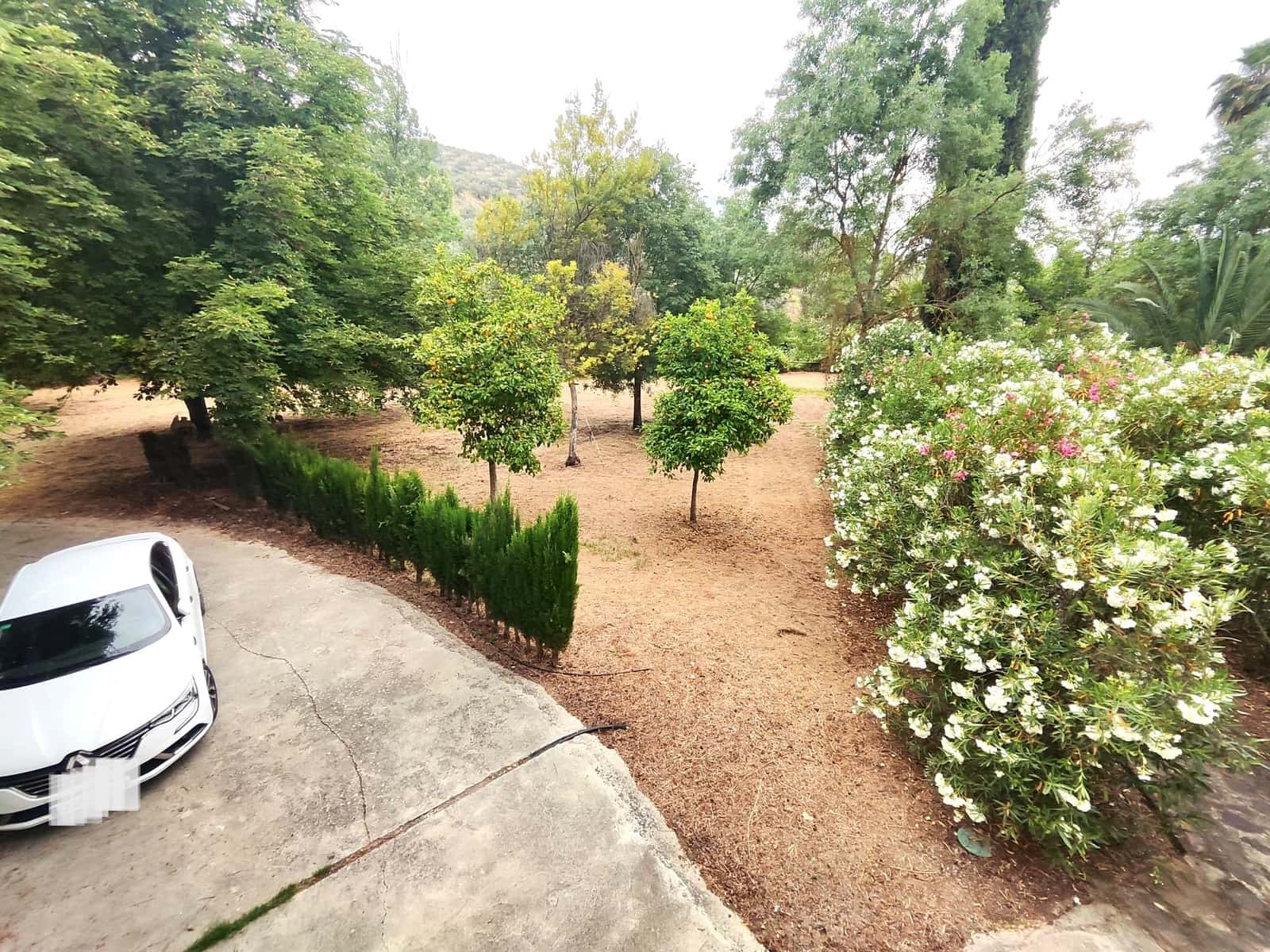 6 sovrum Finca/Hus på landet till salu i Zambra med pool garage - 995 000 € (Ref: 9516460)