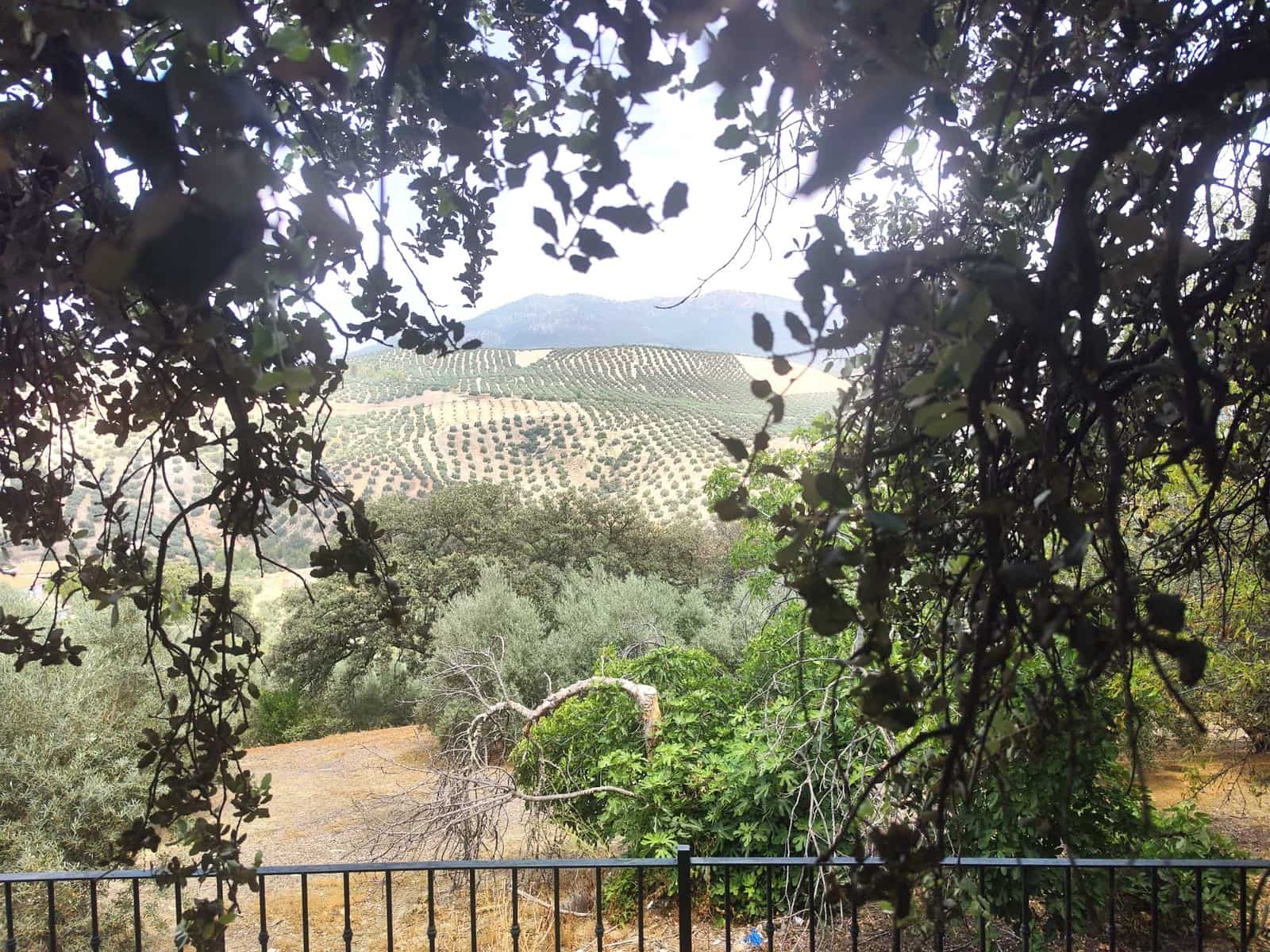 10 chambre Villa/Maison Mitoyenne à vendre à Iznajar avec piscine garage - 650 000 € (Ref: 9780068)