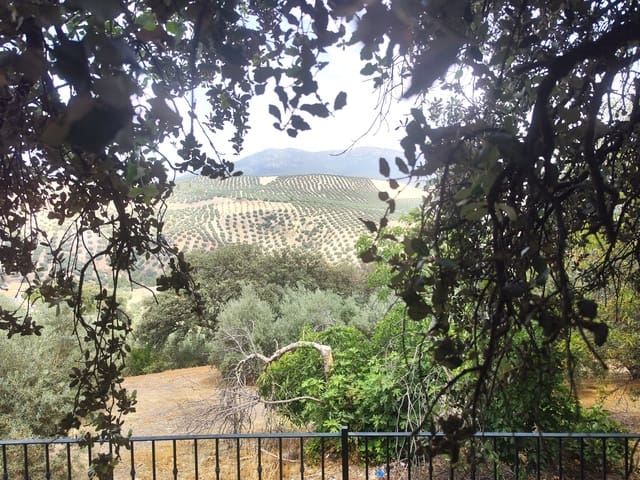 10 chambre Villa/Maison Mitoyenne à vendre à Iznájar - 650 000 € (Ref: 9780068)