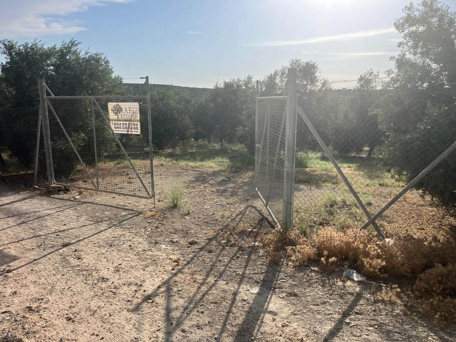 Finca/Casa Rural en Lucena en venta - 600.000 € (Ref: 9909964)