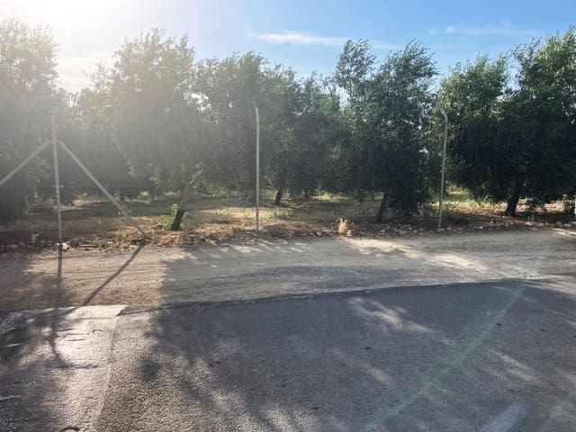 Finca/Casa Rural en Lucena en venta - 600.000 € (Ref: 9909964)