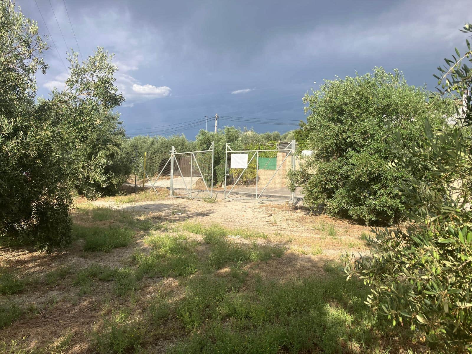 Finca/Casa Rural en Lucena en venta - 600.000 € (Ref: 9909964)