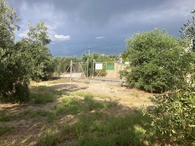 Finca/Casa Rural en Lucena en venta - 600.000 € (Ref: 9909964)