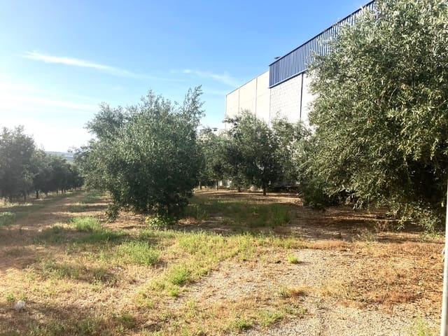 Finca/Casa Rural en Lucena en venta - 600.000 € (Ref: 9909964)
