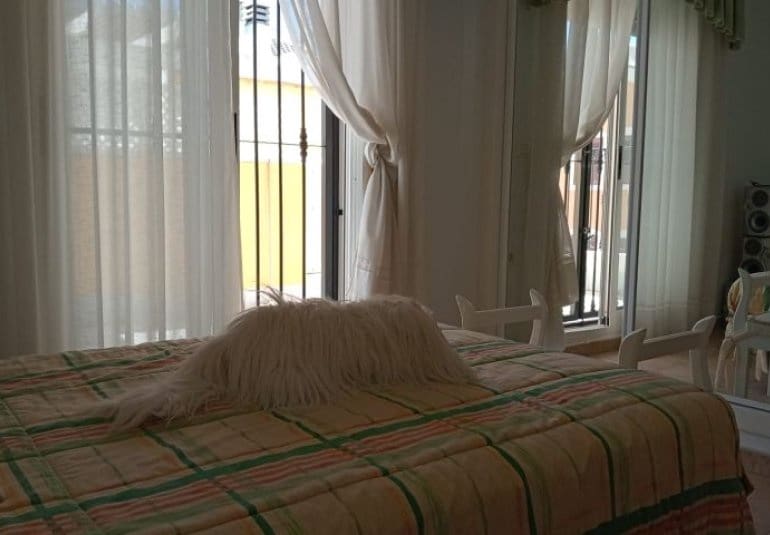 4 sypialnia Willa na sprzedaż w Pilar de la Horadada - 295 000 € (Ref: 9737838)