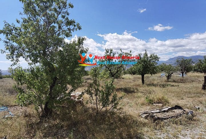 6 soverom Finca/Herregård til salgs i Lucar - € 219 950 (Ref: 6252195)