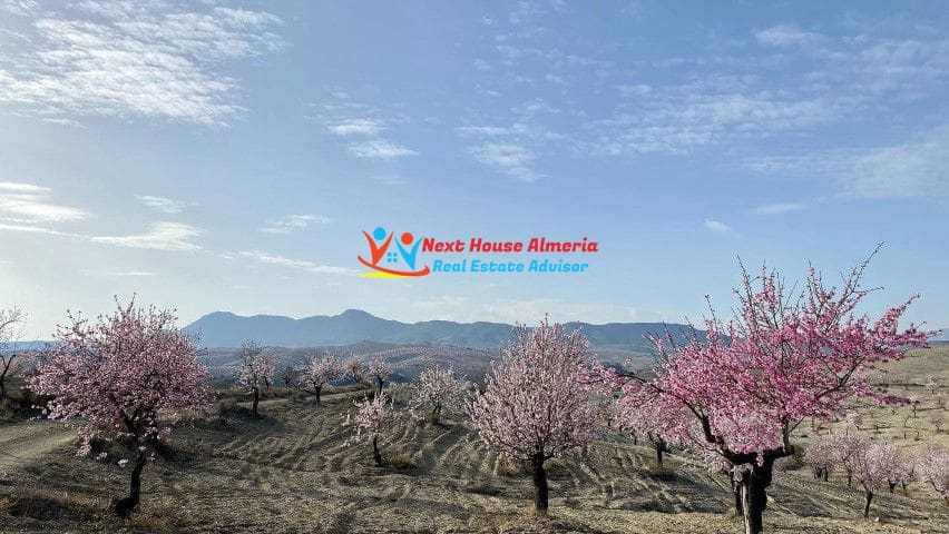 8 soveværelse Finca/Landehus til salg i Taberno - € 450.000 (Ref: 7581626)