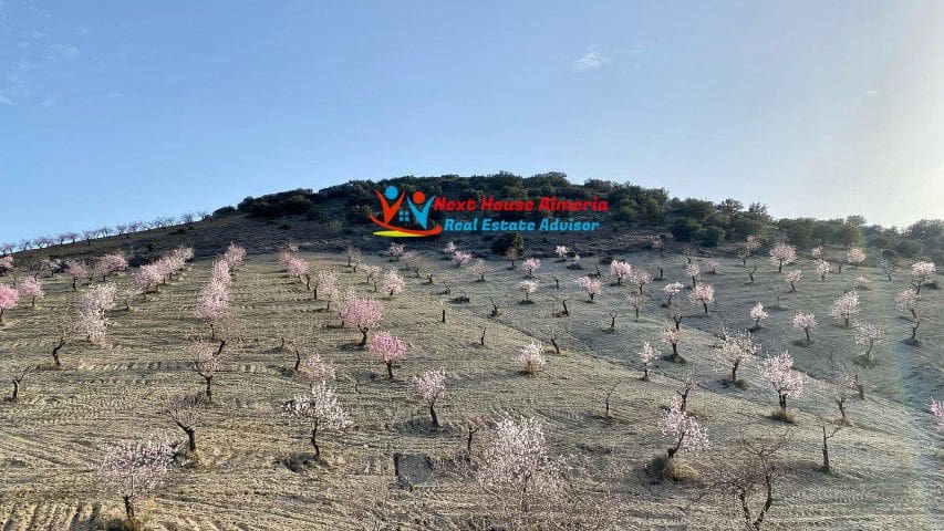 8 soveværelse Finca/Landehus til salg i Taberno - € 450.000 (Ref: 7581626)