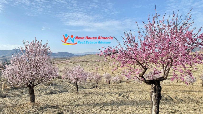 8 soveværelse Finca/Landehus til salg i Taberno - € 450.000 (Ref: 7581626)