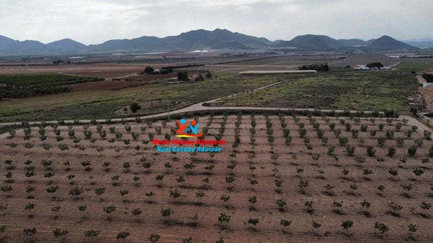 8 soveværelse Finca/Landehus til salg i La Escucha - € 625.000 (Ref: 7851703)